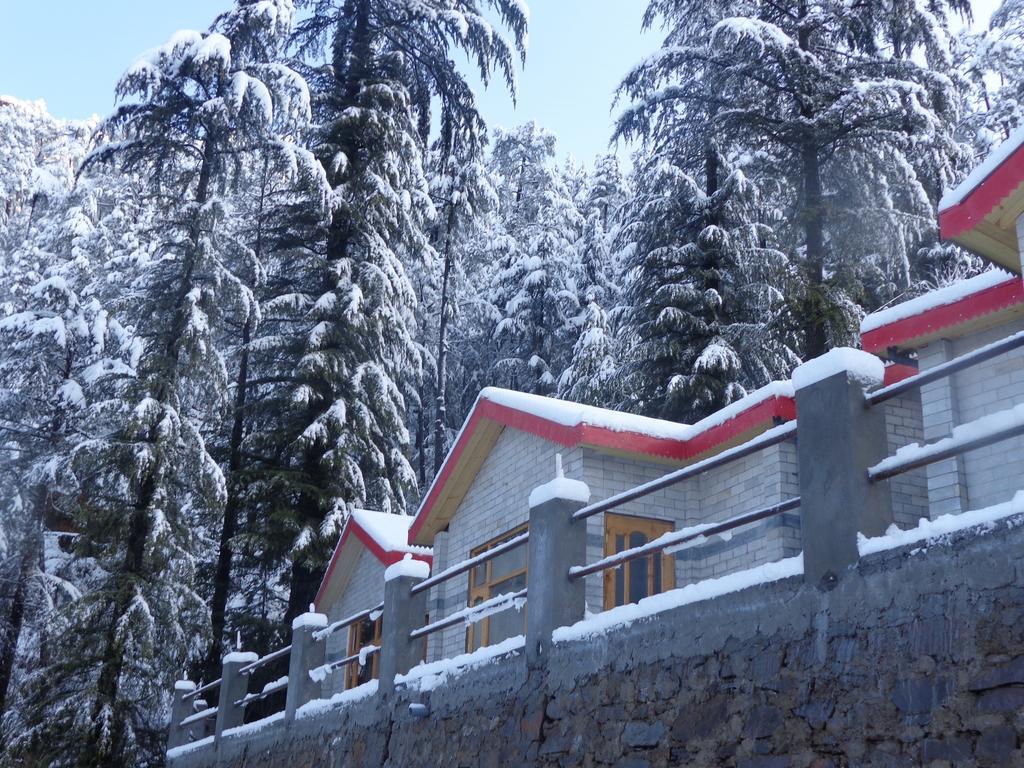 Village Live In Resort Chail Exterior photo